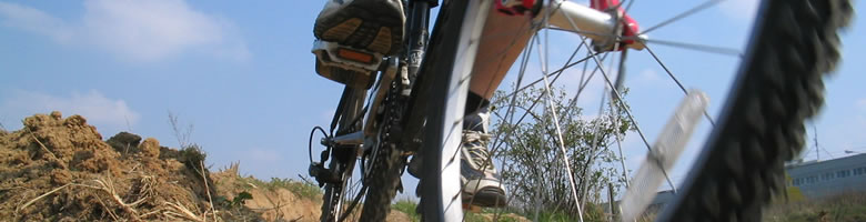 escursioni in mountainbike